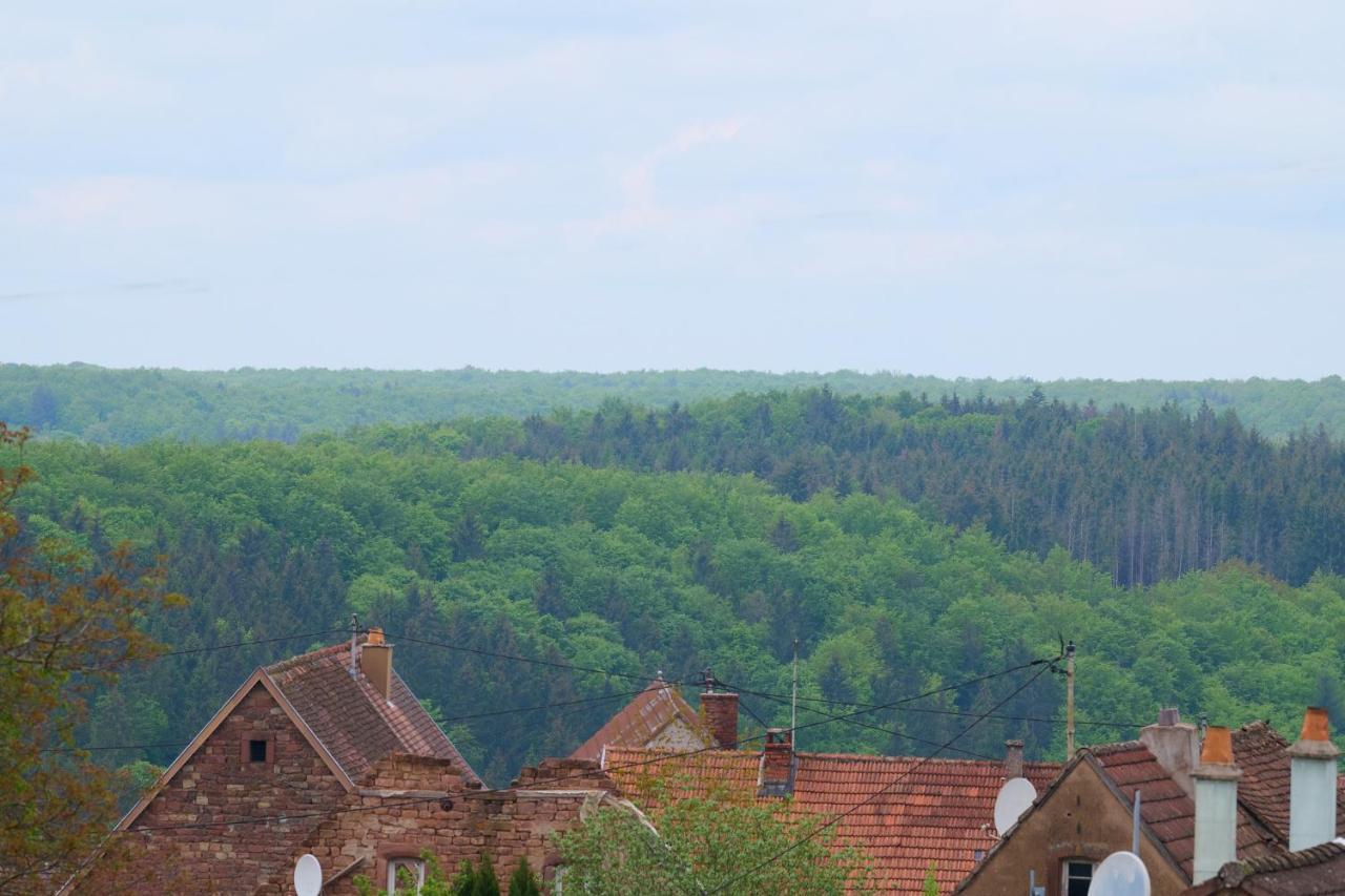 Apartamento Le Pommier - Appt Avec Jardin Partage Puberg Exterior foto